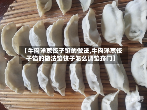 【牛肉洋葱饺子馅的做法,牛肉洋葱饺子馅的做法馅饺子怎么调馅窍门】