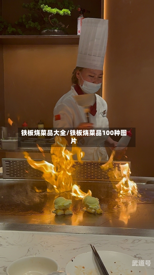 铁板烧菜品大全/铁板烧菜品100种图片