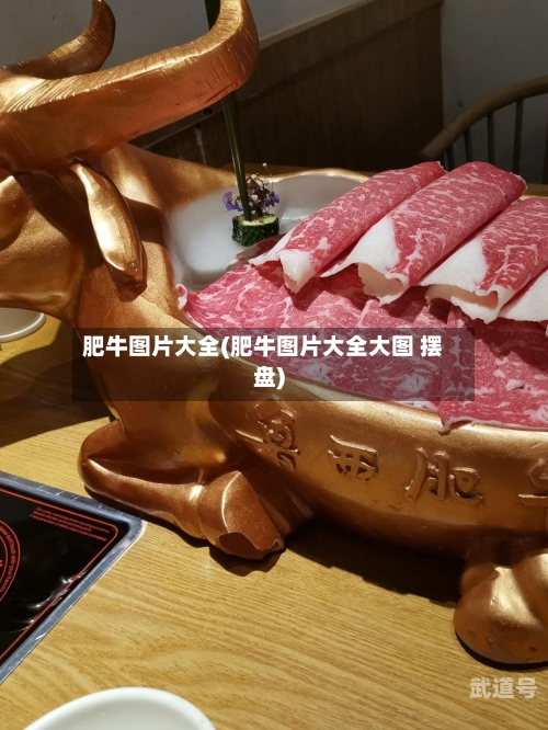肥牛图片大全(肥牛图片大全大图 摆盘)