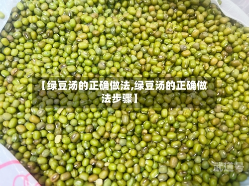 【绿豆汤的正确做法,绿豆汤的正确做法步骤】