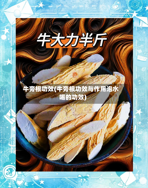 牛旁根功效(牛旁根功效与作用泡水喝的功效)