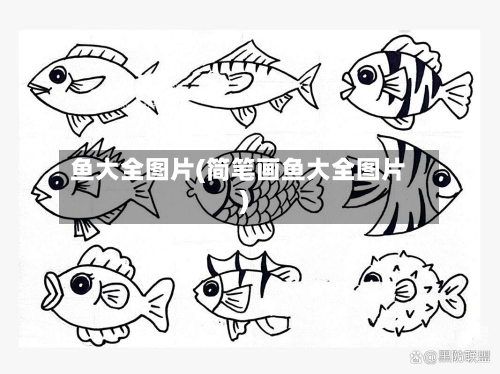 鱼大全图片(简笔画鱼大全图片)
