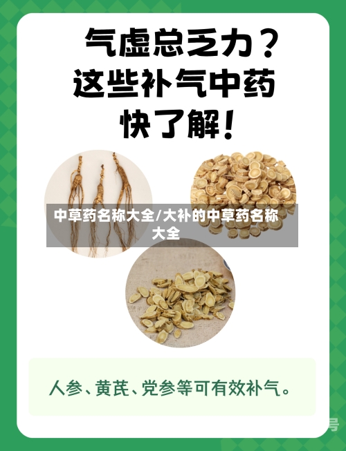 中草药名称大全/大补的中草药名称大全