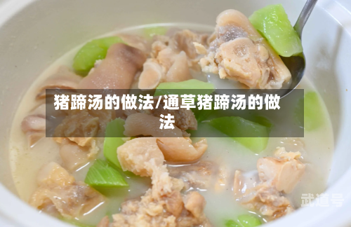 猪蹄汤的做法/通草猪蹄汤的做法