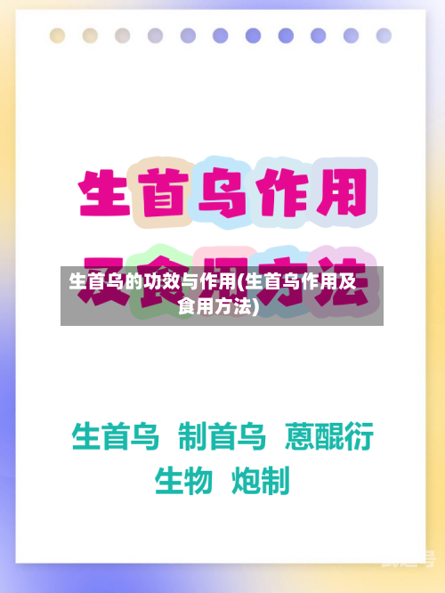 生首乌的功效与作用(生首乌作用及食用方法)