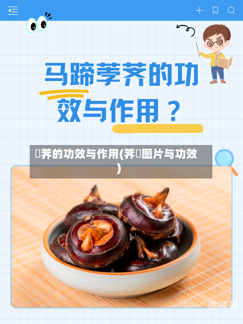 茡荠的功效与作用(荠苨图片与功效)