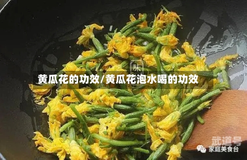 黄瓜花的功效/黄瓜花泡水喝的功效