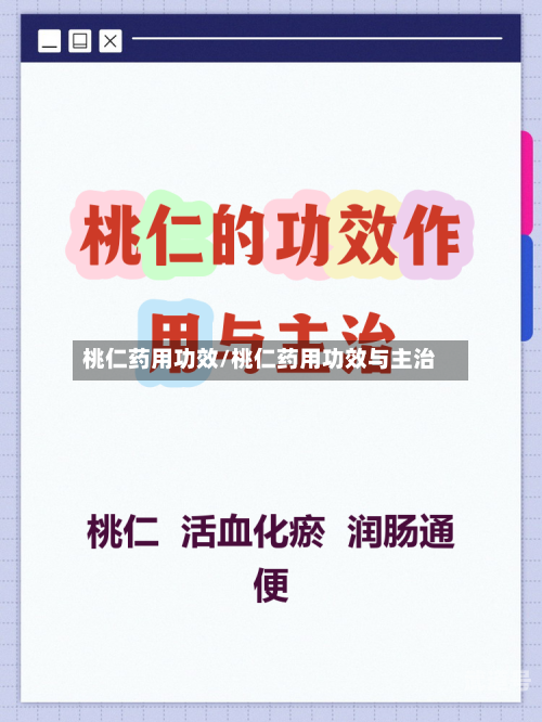 桃仁药用功效/桃仁药用功效与主治
