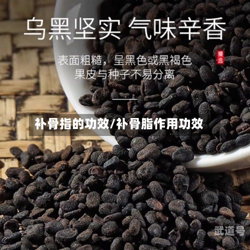 补骨指的功效/补骨脂作用功效