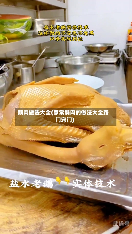 鹅肉做法大全(家常鹅肉的做法大全窍门窍门)