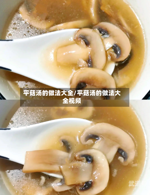 平菇汤的做法大全/平菇汤的做法大全视频