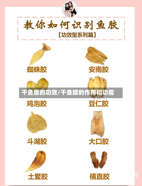 干鱼膘的功效/干鱼鳔的作用和功能