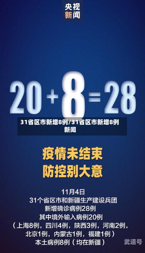 31省区市新增8例/31省区市新增8例 新闻