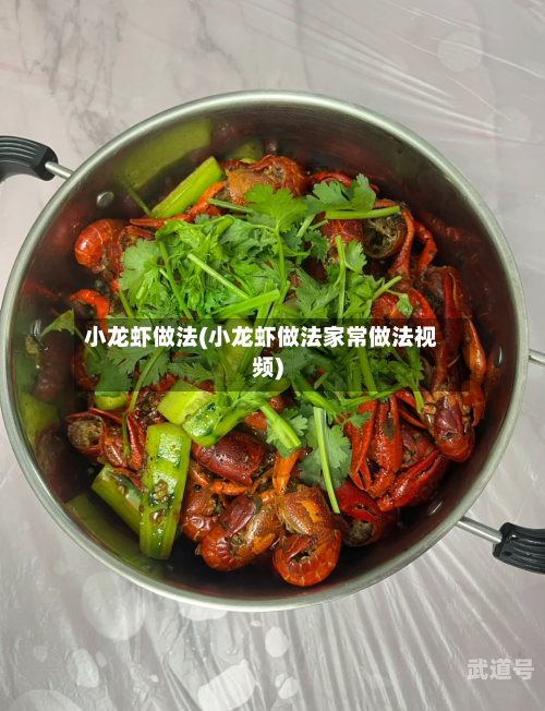 小龙虾做法(小龙虾做法家常做法视频)