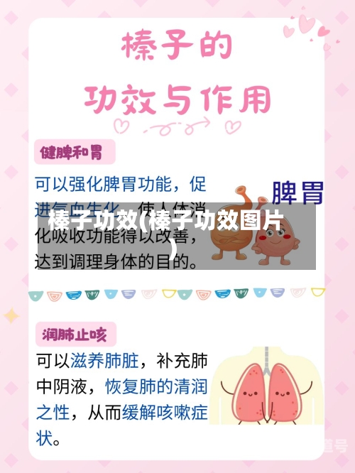 榛子功效(榛子功效图片)