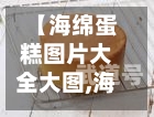 【海绵蛋糕图片大全大图,海绵蛋糕百度百科】-第2张图片