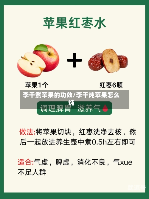 李干煮苹果的功效/李干炖苹果怎么炖