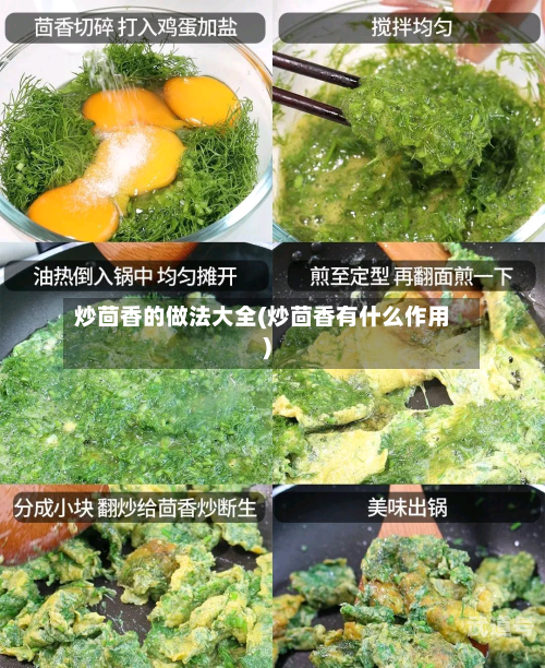 炒茴香的做法大全(炒茴香有什么作用)