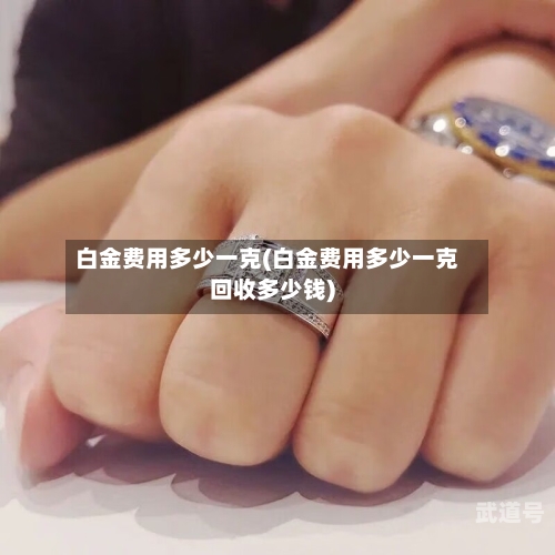 白金费用多少一克(白金费用多少一克回收多少钱)