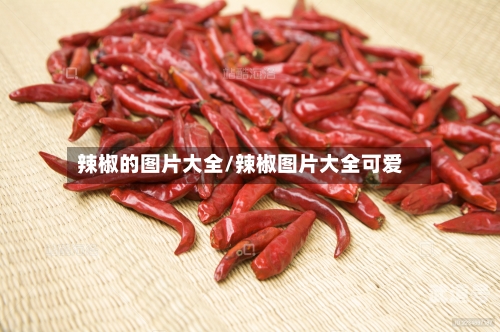 辣椒的图片大全/辣椒图片大全可爱