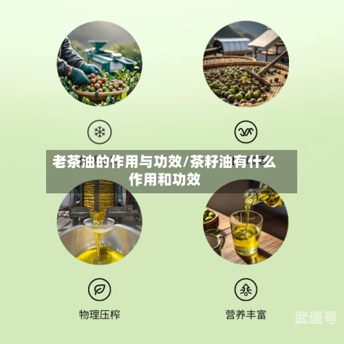 老茶油的作用与功效/茶籽油有什么作用和功效