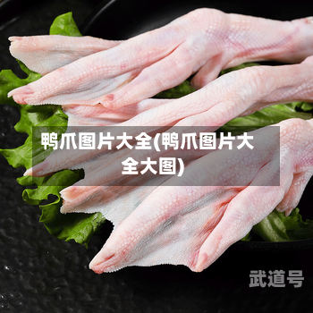 鸭爪图片大全(鸭爪图片大全大图)