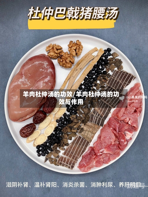 羊肉杜仲汤的功效/羊肉杜仲汤的功效与作用