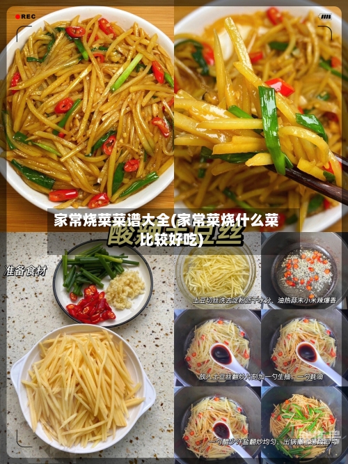 家常烧菜菜谱大全(家常菜烧什么菜比较好吃)
