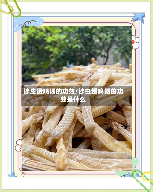 沙虫煲鸡汤的功效/沙虫煲鸡汤的功效是什么