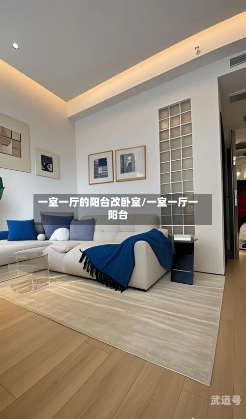 一室一厅的阳台改卧室/一室一厅一阳台