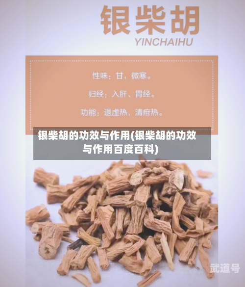 银柴胡的功效与作用(银柴胡的功效与作用百度百科)