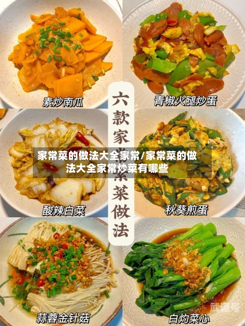 家常菜的做法大全家常/家常菜的做法大全家常炒菜有哪些