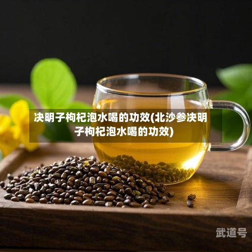 决明子枸杞泡水喝的功效(北沙参决明子枸杞泡水喝的功效)