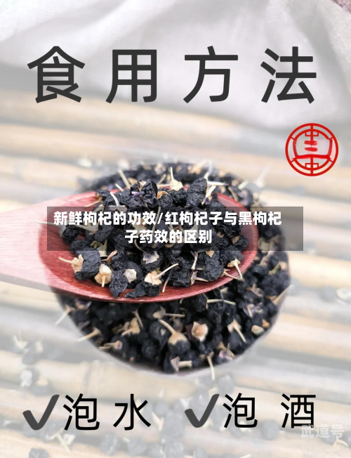 新鲜枸杞的功效/红枸杞子与黑枸杞子药效的区别