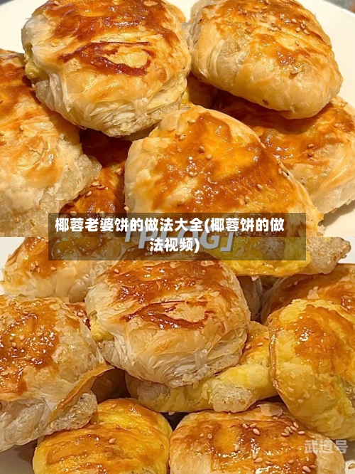 椰蓉老婆饼的做法大全(椰蓉饼的做法视频)