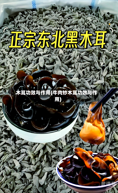 木耳功效与作用(牛肉炒木耳功效与作用)