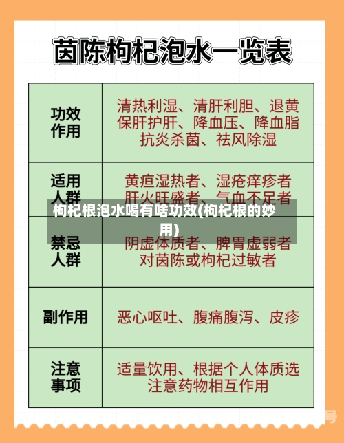 枸杞根泡水喝有啥功效(枸杞根的妙用)