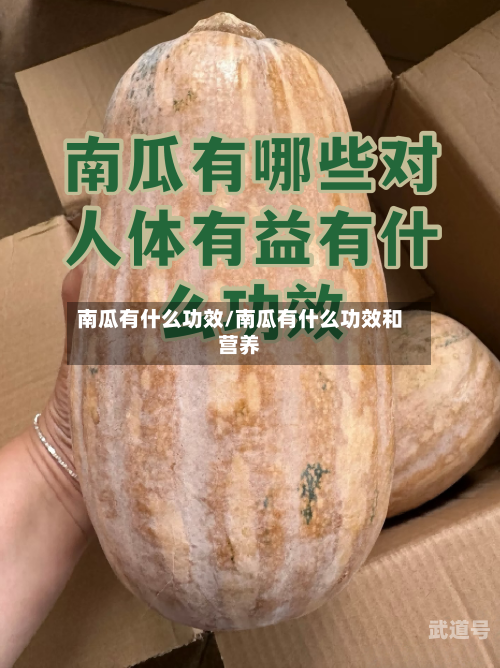 南瓜有什么功效/南瓜有什么功效和营养