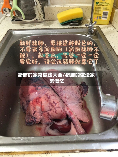 猪肺的家常做法大全/猪肺的做法家常做法