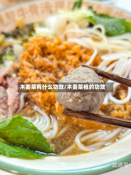 木姜菜有什么功效/木姜菜根的功效