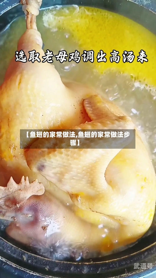 【鱼翅的家常做法,鱼翅的家常做法步骤】