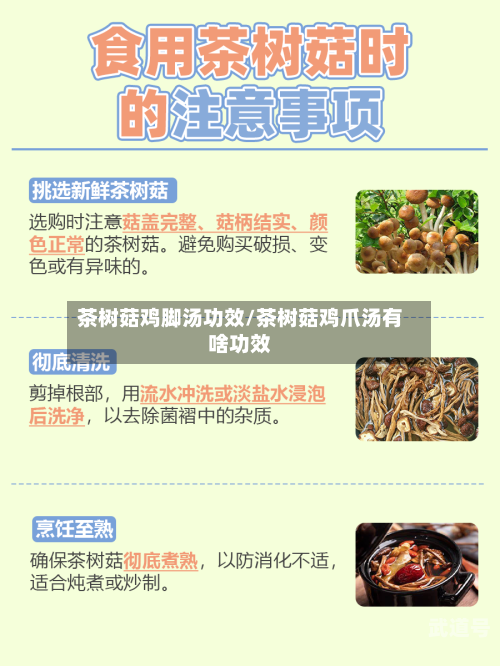 茶树菇鸡脚汤功效/茶树菇鸡爪汤有啥功效