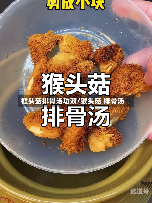 猴头菇排骨汤功效/猴头菇 排骨汤