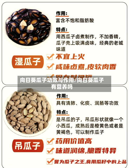 向日葵瓜子功效与作用/向日葵瓜子有营养吗