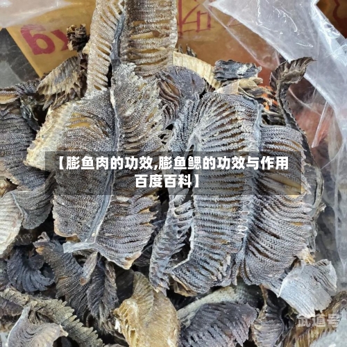 【膨鱼肉的功效,膨鱼鳃的功效与作用百度百科】