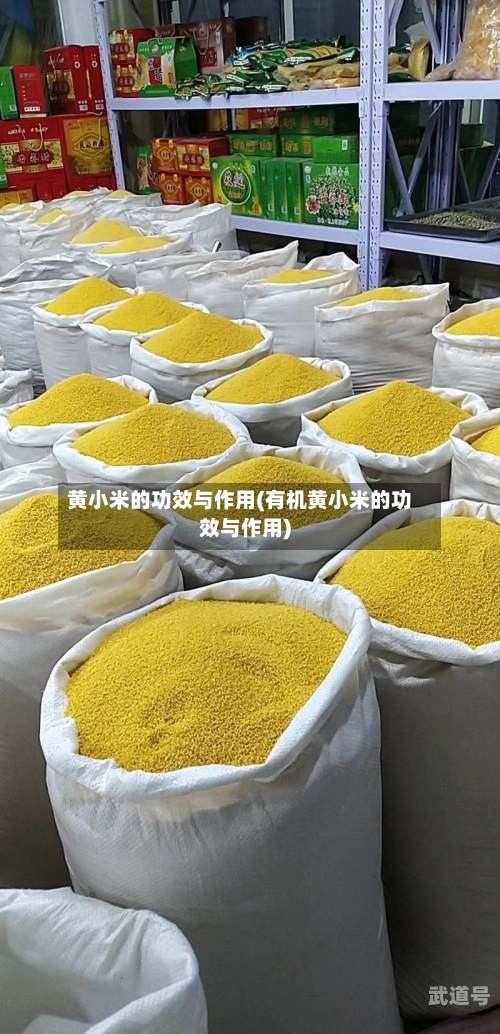 黄小米的功效与作用(有机黄小米的功效与作用)