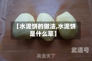 【水泥饼的做法,水泥饼是什么草】