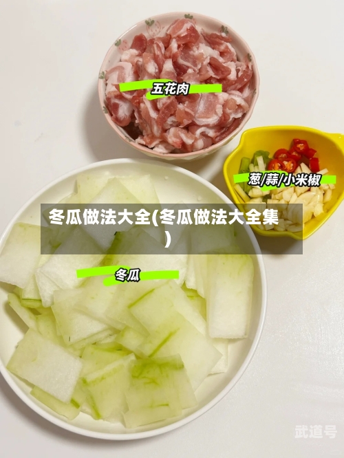 冬瓜做法大全(冬瓜做法大全集)