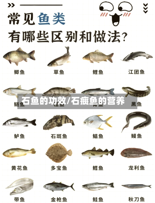 石鱼的功效/石癍鱼的营养