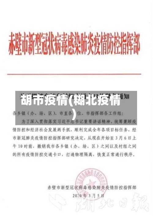 胡市疫情(糊北疫情)